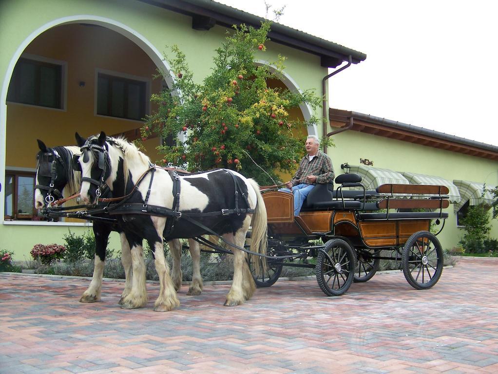 Agriturismo Nonna Rina San Liberale Екстериор снимка