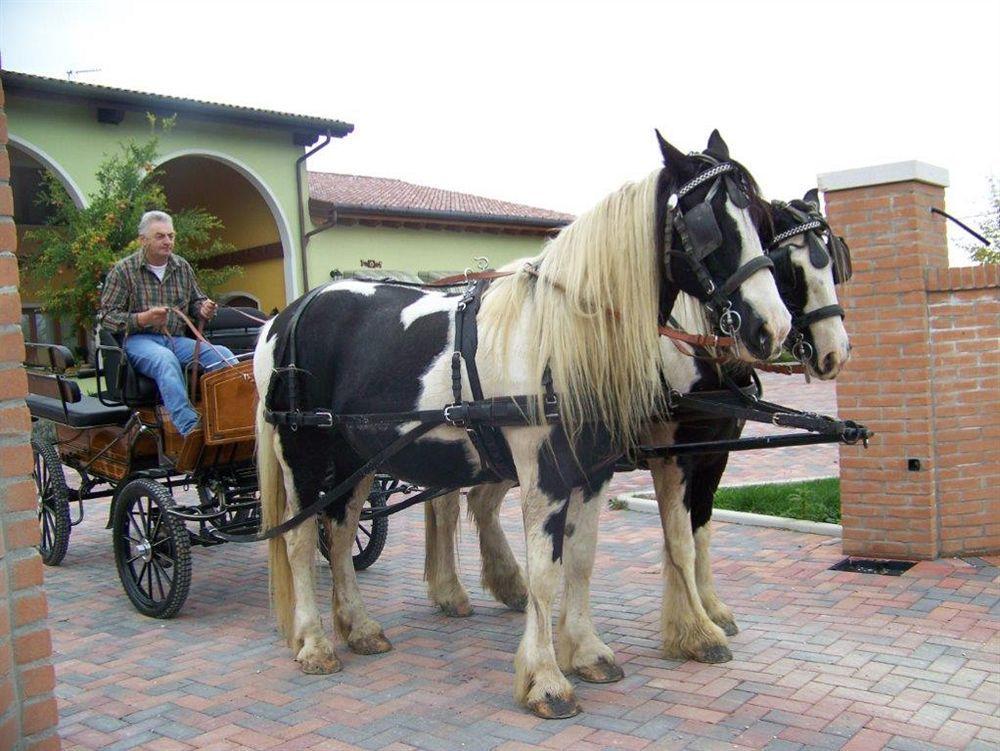 Agriturismo Nonna Rina San Liberale Екстериор снимка