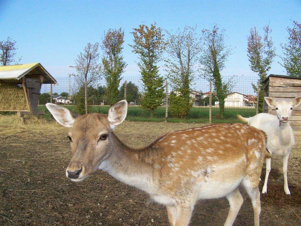 Agriturismo Nonna Rina San Liberale Екстериор снимка