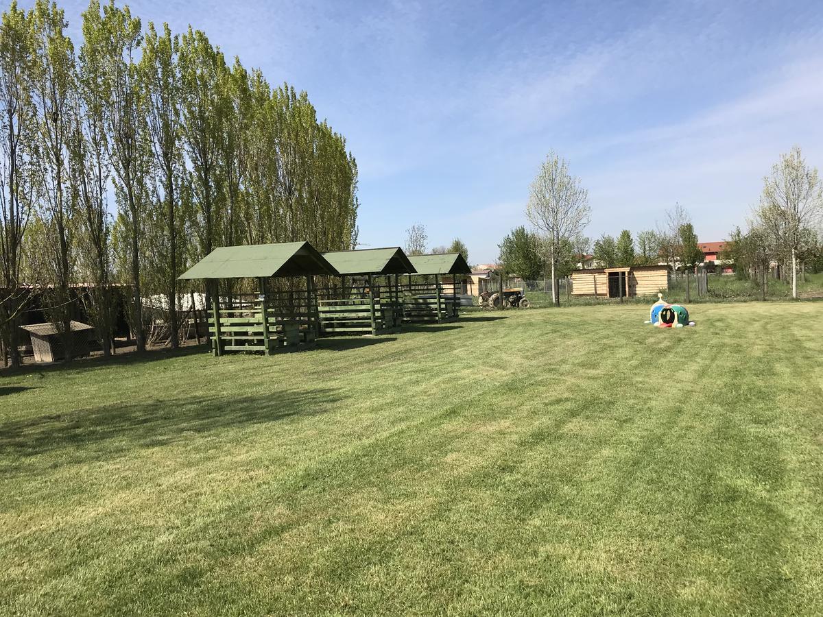 Agriturismo Nonna Rina San Liberale Екстериор снимка