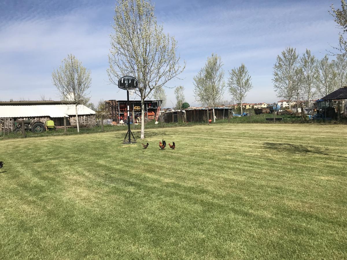 Agriturismo Nonna Rina San Liberale Екстериор снимка