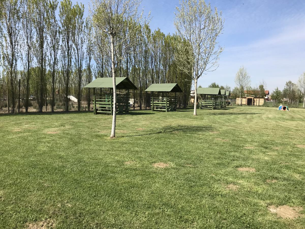 Agriturismo Nonna Rina San Liberale Екстериор снимка